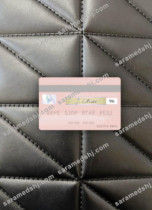 North Korea Daedong Credit Bank visa debit card photolook back